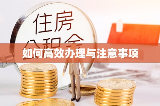 清苑如何高效办理与注意事项