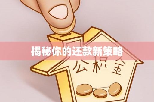 清苑揭秘你的还款新策略