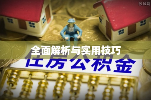 清苑全面解析与实用技巧