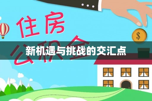 清苑新机遇与挑战的交汇点