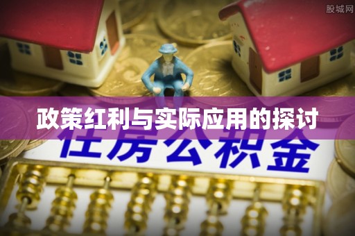 清苑政策红利与实际应用的探讨